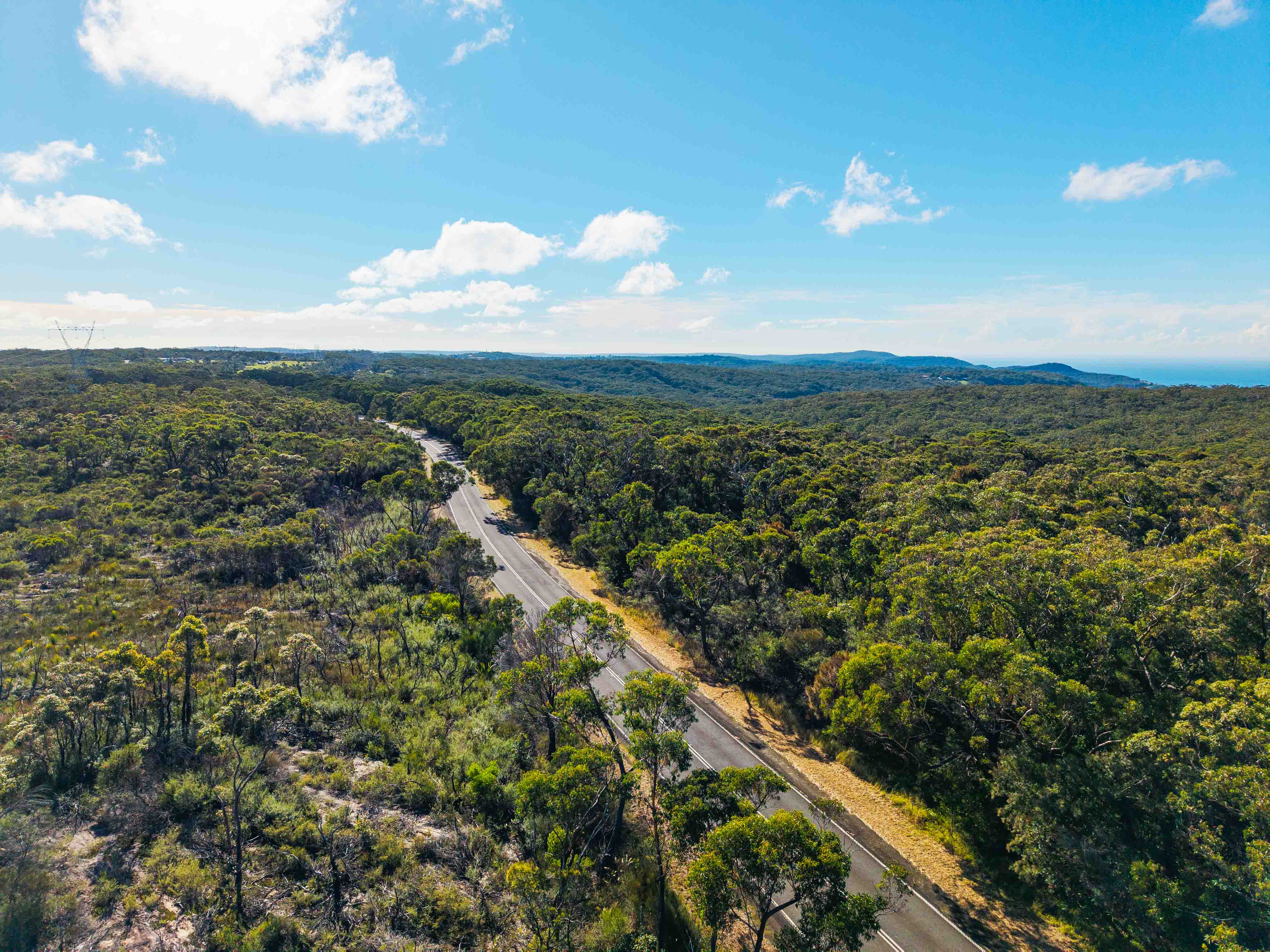 Aerial view of a road winding through bushland.