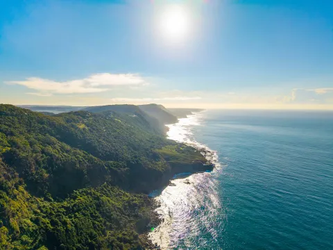 Aerial view of a rugged coastline with cliffs, forest and ocean under a bright sky.
