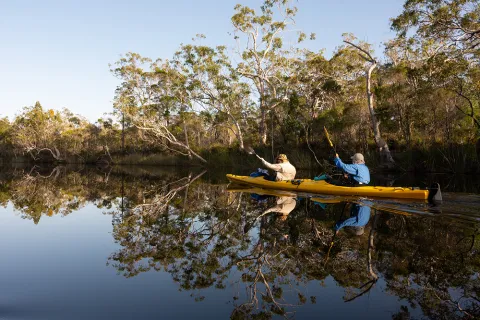 Two people kayaking on calm water, paddling side by side with trees reflected in the surface.