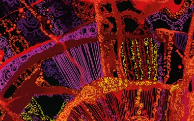 Celebrating NAIDOC Week 50 Years of Deadly 5-12 July 2026. 