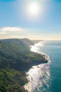 Aerial view of a rugged coastline with cliffs, forest and ocean under a bright sky.