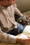 A person writing in a notebook at a table, with an assistance cat beside them.