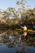 Two people kayaking on calm water, paddling side by side with trees reflected in the surface.