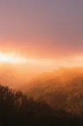 Warm sunset light over misty hills and bushland, with layers of trees and landscape fading into the distance.