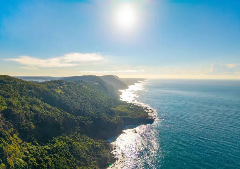 Aerial view of a rugged coastline with cliffs, forest and ocean under a bright sky.