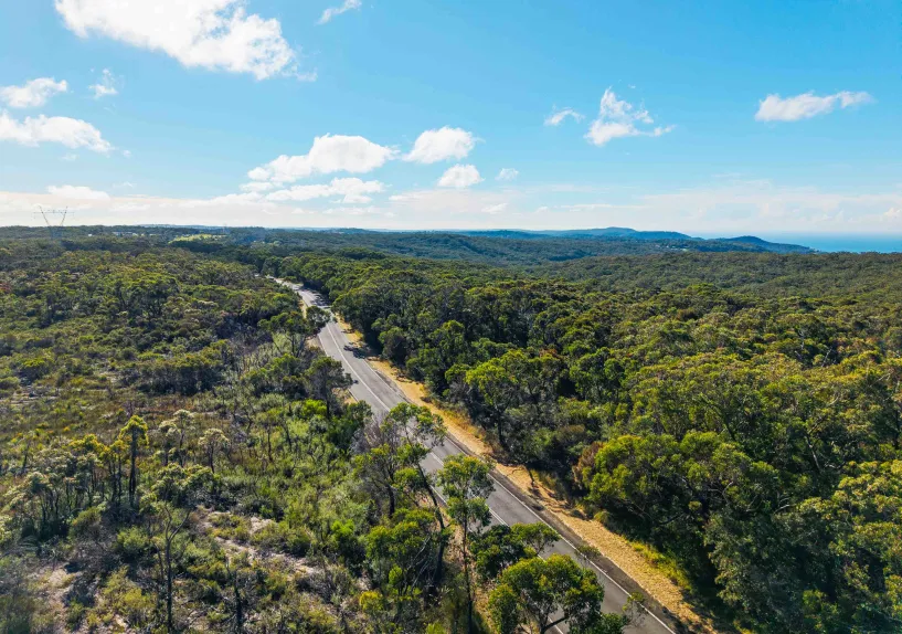 Aerial view of a road winding through bushland.