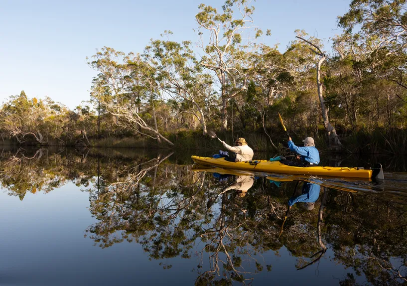 Two people kayaking on calm water, paddling side by side with trees reflected in the surface.